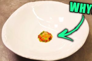 Why Expensive Restaurants Give Small Portions! Fine Dining Explained!!