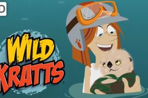 Wild Kratts - Food, Fun and Creature Rescues with Jimmy