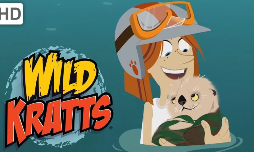 Wild Kratts - Food, Fun and Creature Rescues with Jimmy