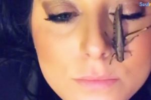 Woman Rescues A Grasshopper And Gives Her The Best Life Ever | The Dodo Soulmates