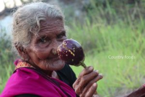 Yummy Brinjal Masala | My Grandma Cooking Brinjal Masala | Country foods