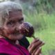 Yummy Brinjal Masala | My Grandma Cooking Brinjal Masala | Country foods