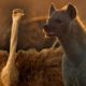 Zalika the Hyena FIGHTS an Ostrich | Serengeti - BBC