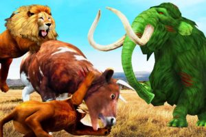Zombie Mammoth VS Cow Cartoon Saved By Mammoth Elephant Lion Attack Animal Fight Wild Animals Battle