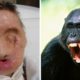10 Animal Pets That Attacked Their Owner!