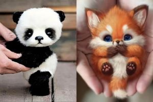 10 Cutest Baby Animals That Will Make You Go Aww