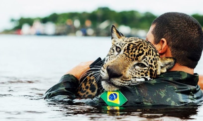 10 Most Inspiring Animal Rescues