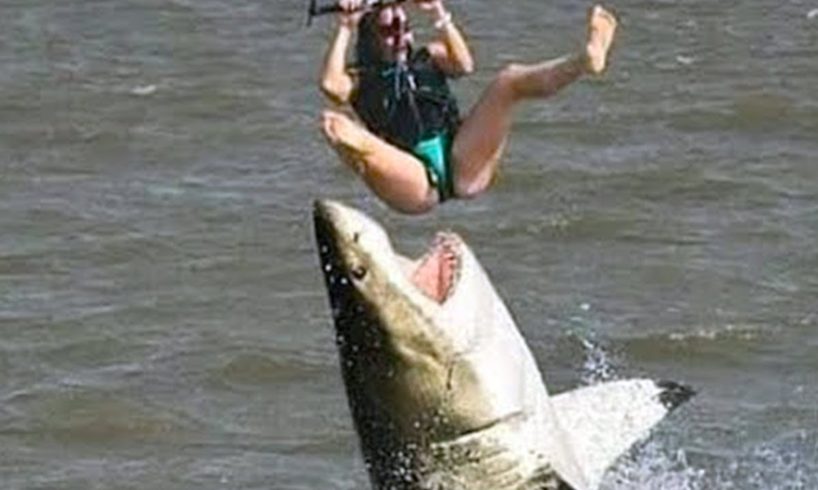 15 Most Dangerous Ultimate Close Calls In the Sea