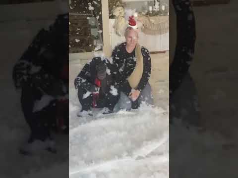 ANIMAL ADOPTION : Animals rescued || Cute animals : SAVE ELEPHANTS : [Elephant Conservation #Short]