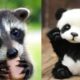 Cute baby animals Videos Compilation cute moment of the animals - Cutest Animals #8