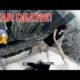 NEAR DEATH EXPERIENCES CAUGHT ON GOPRO AND CAMERA!! (Near Death Captured Best Of 2021)
