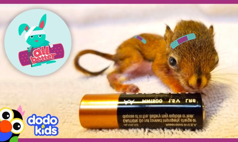 30 Minutes of Helping Baby Animals Feel Better | Dodo Kids