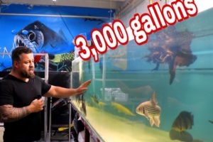 3000 Gallon acrylic tank looks brand new!! Lets help Juan with his dog rescue