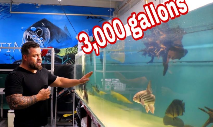 3000 Gallon acrylic tank looks brand new!! Lets help Juan with his dog rescue