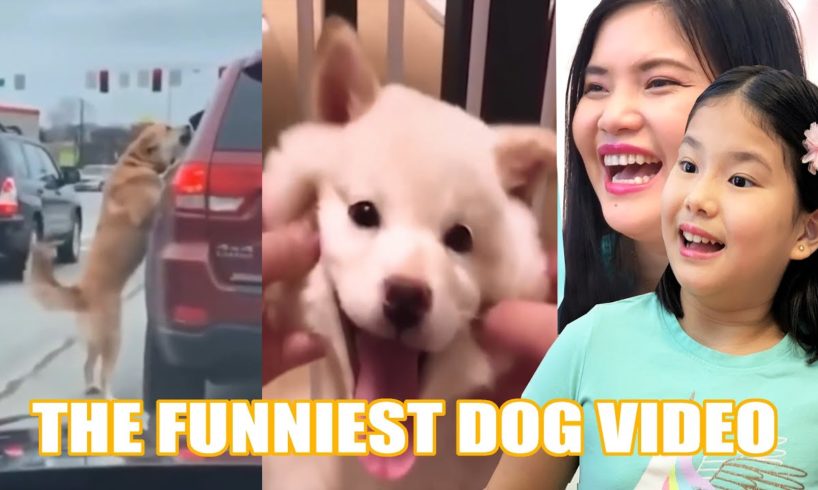 All Star Family Reacts to Funny and Cutest DOGS Video ? The Funniest dog video Tik Tok.  Happier Dog