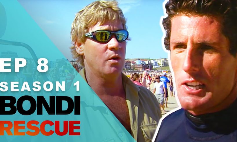 Animal Rescues! Plus wild surf tests lifeguard | Bondi Rescue - Season 1 Episode 8 (OFFICIAL UPLOAD)
