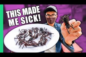 Asia's Bizarre Delivery Food!! This Finally Made me SICK!!