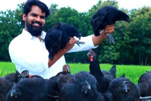 BLACK CHICKEN BIRYANI | Healthy Chicken Biryani | Chicken Biryani by Nawabs kitchen