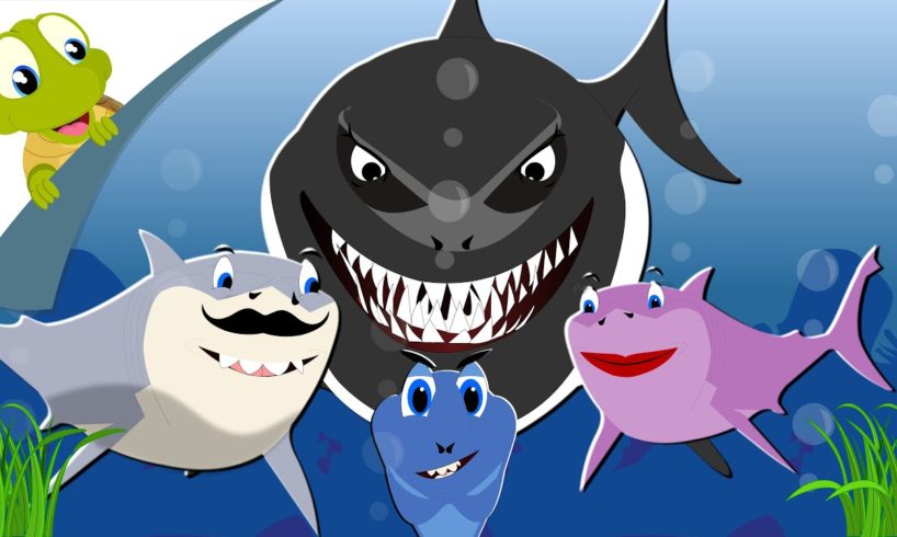 Baby Shark song | Animals song | Nursery Rhyme for kids