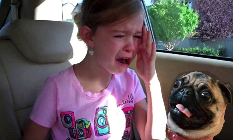 Best New Puppy Surprise For Kids Compilation ? You Try Not to Cry