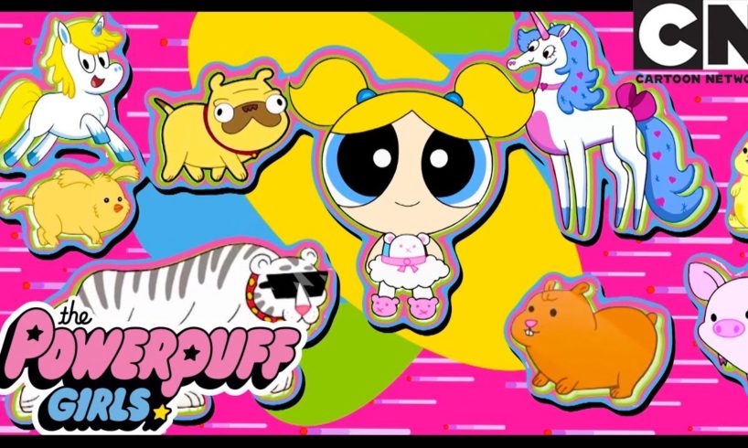 Bubbles’ Cutest Pets | Powerpuff Girls | Cartoon Network