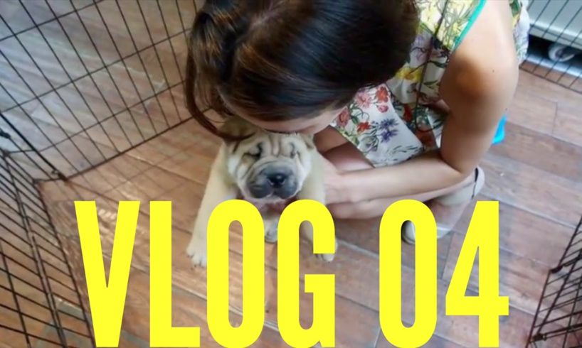 CUTEST PUPPY EVER. VLOG 04