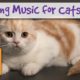 Calming Music for Cats - Music for Pets and Animals who Need Relaxing
