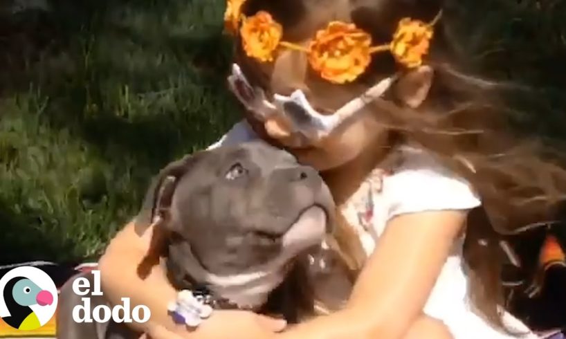 Carta de amor de una pequeña niña a su perro adorado I El Dodo