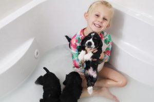 Cutest Puppies First Bath!!