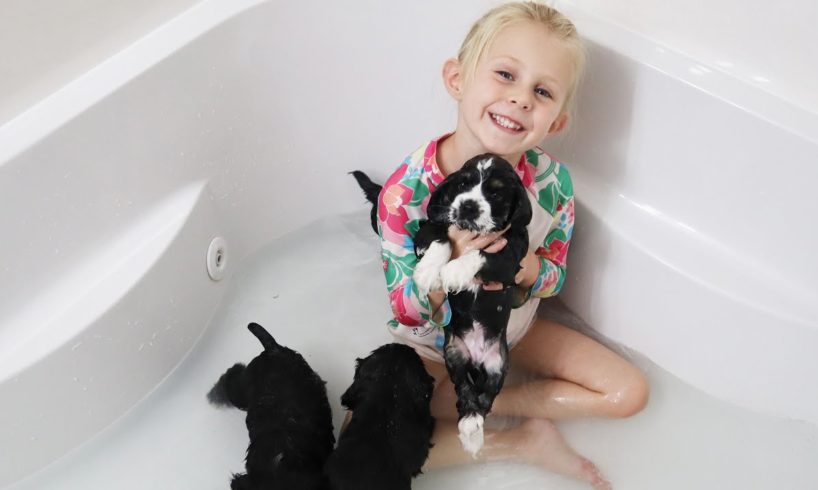 Cutest Puppies First Bath!!