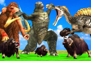 Dinosaur Vs Godzilla Fight T-rex Chase Bull Saved by Woolly Mammoth Elephant Animal Fights Battle