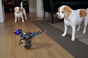 Dog Rescues Sister from Dinosaur Robot: Cute Dogs Maymo & Penny
