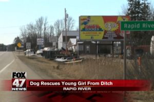Dog rescues 3-year-old girl from ditch