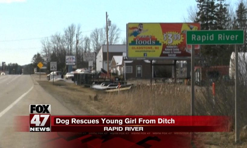 Dog rescues 3-year-old girl from ditch