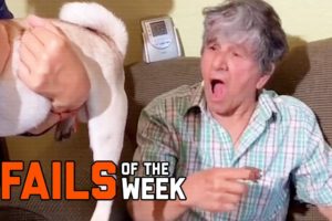 Don’t Put Your Finger There! Fails of the Week | FailArmy