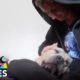 Esta mujer rescata a todos los perros que nadie más quiere | Dodo Héroes | El Dodo