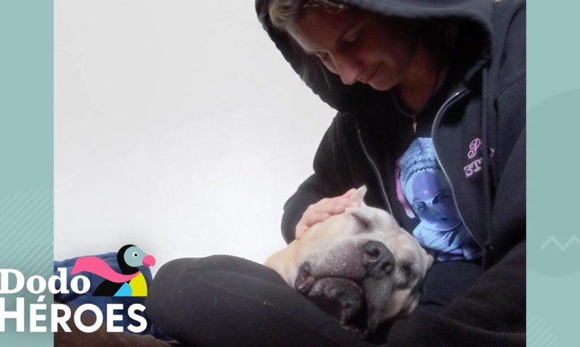 Esta mujer rescata a todos los perros que nadie más quiere | Dodo Héroes | El Dodo