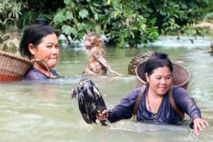 Ethnic Woman Rescues Pitiful Monkey Stuck In The Stream Water | Ethnic Women Lifestyle HD
