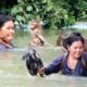 Ethnic Woman Rescues Pitiful Monkey Stuck In The Stream Water | Ethnic Women Lifestyle HD