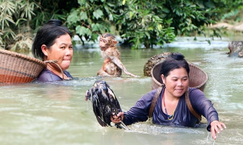 Ethnic Woman Rescues Pitiful Monkey Stuck In The Stream Water | Ethnic Women Lifestyle HD