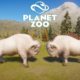 Every Albino Animal Fights in Planet Zoo - PLANET ZOO | Planet Zoo Animal Fights | ALL 11 ANIMALS
