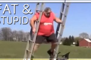 FAT & STUPID - Fail Compilation ? ?