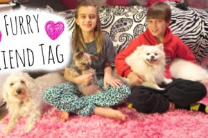 FURRY FRIEND TAG ~ CUTEST DOGS EVER!!