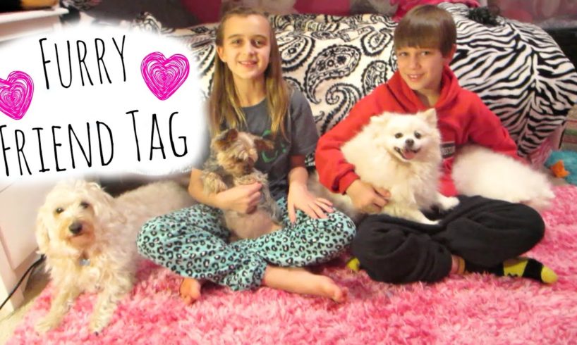 FURRY FRIEND TAG ~ CUTEST DOGS EVER!!