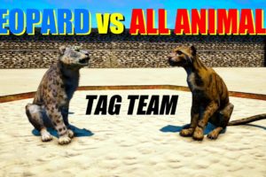 Far Cry 4 Animal Fight - Leopard vs All Animals (Tag Team Battles)
