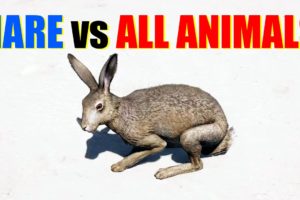 Far Cry 5 Arcade - Animal Fight: Hare vs All Animals