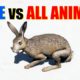 Far Cry 5 Arcade - Animal Fight: Hare vs All Animals