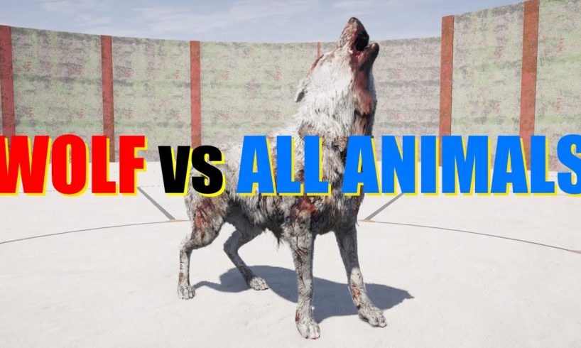 Far Cry 5 Arcade - Animal Fight: Judge Wolf vs All Animals