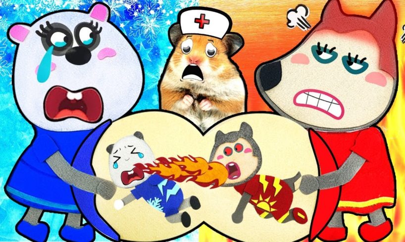 ? Fire Wolfoo vs Ice Panda Infant! Cartoon Hamster by Life Of Pets Hamham