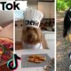 Funny Dogs of TikTok Compilation ~ Cutest Puppies TIK TOK